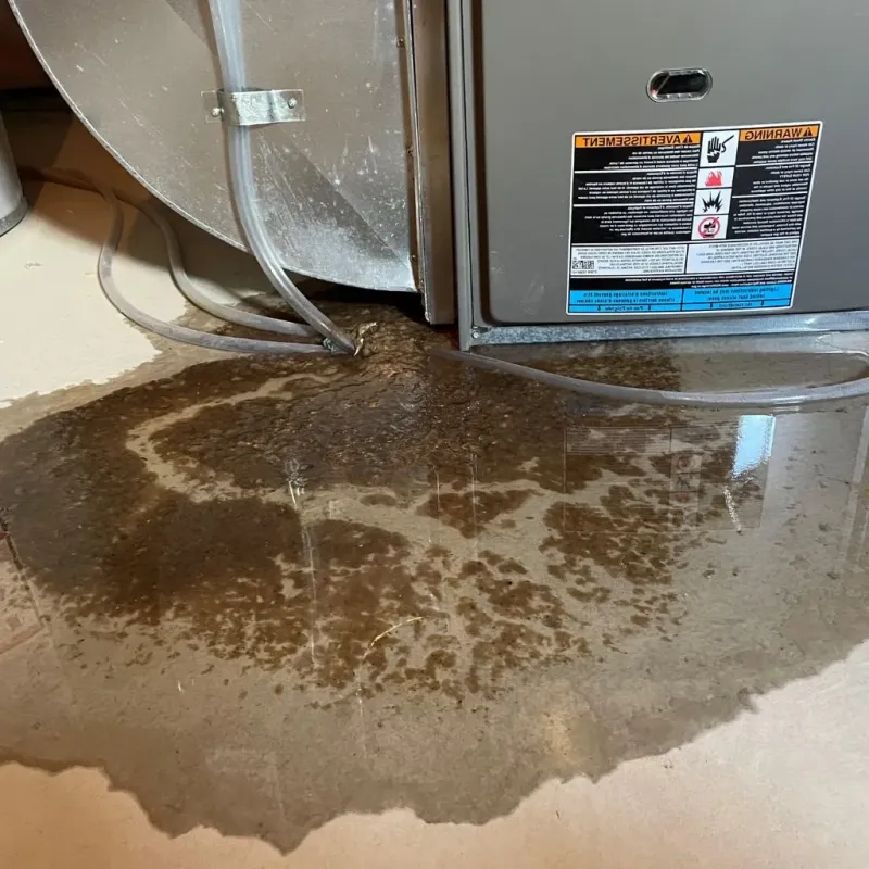 Pipe Burst and Leak Restoration in Hancock County, KY