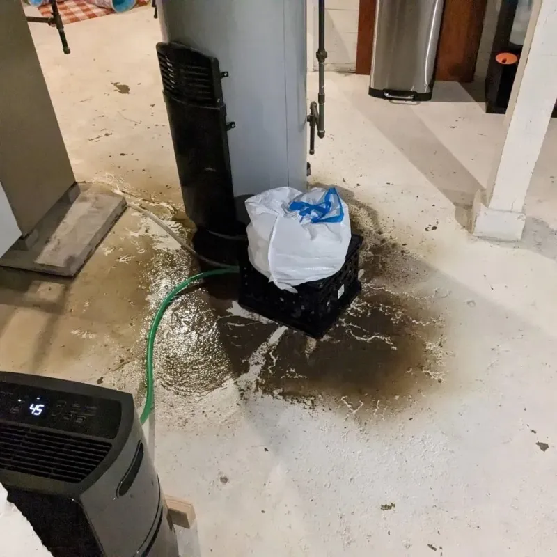 Sewage Backup Cleanup Service in Hancock County, KY